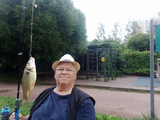  Novy,   , 74 ,   ,   