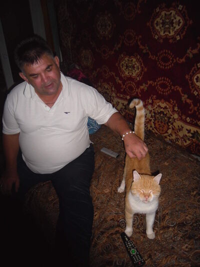  ,   , 65 ,   ,   
