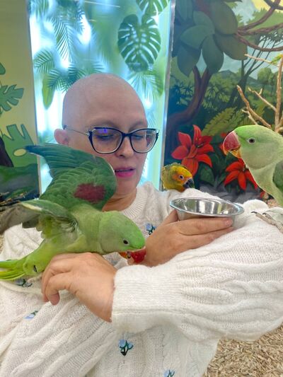   ,   , 48 ,   ,   , c , 