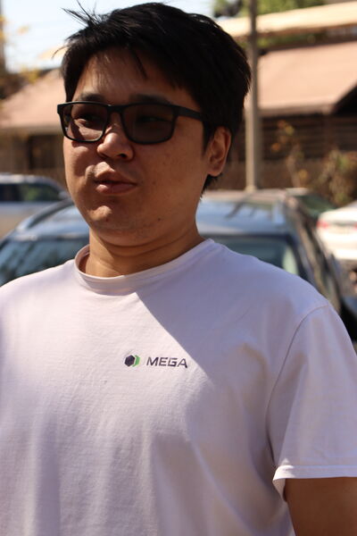  ,   Chitona, 34 ,   ,   
