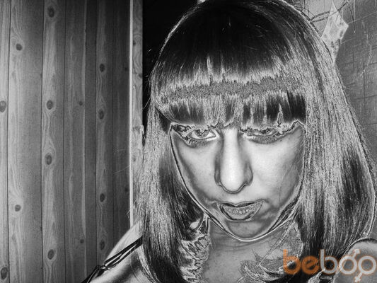  ,   Feeria, 41 ,     , c 
