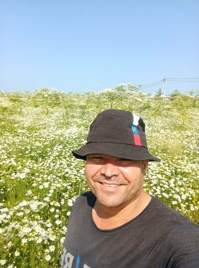  ,   , 43 ,   ,   