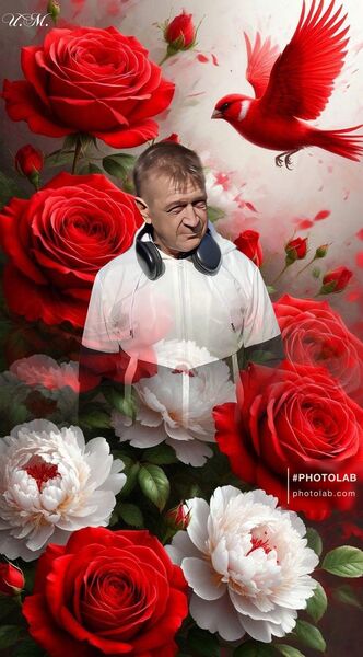  ,   , 52 ,   ,   