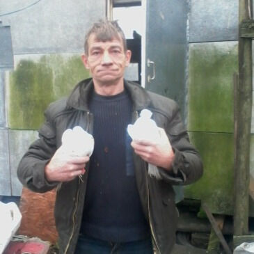 ���������� �����-���������, ���� ������� �������, 37 ���, ������������ ��� ������, ����� � ���������