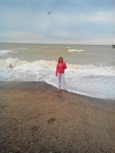  -,   , 48 ,   ,   , c 
