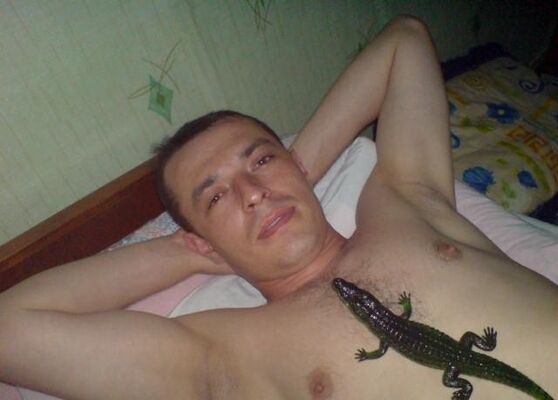  ,   , 41 ,   
