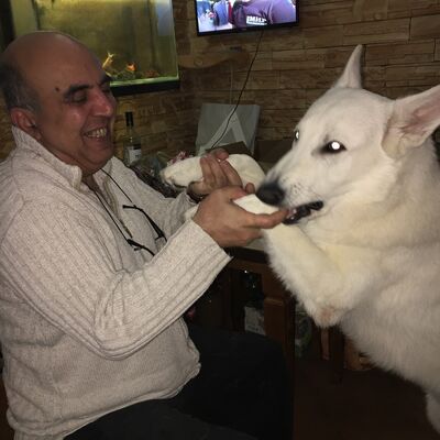  ,   , 60 ,   ,   , c 