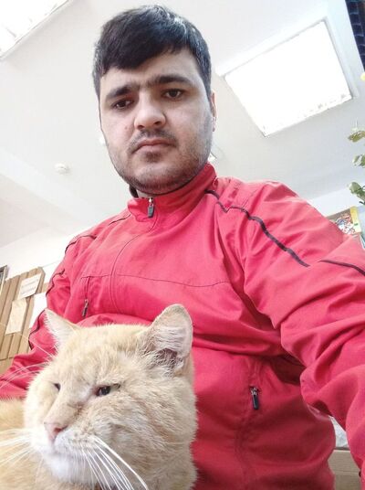  -,   , 36 ,   ,   