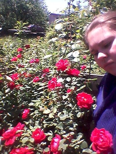  ,   , 35 ,  
