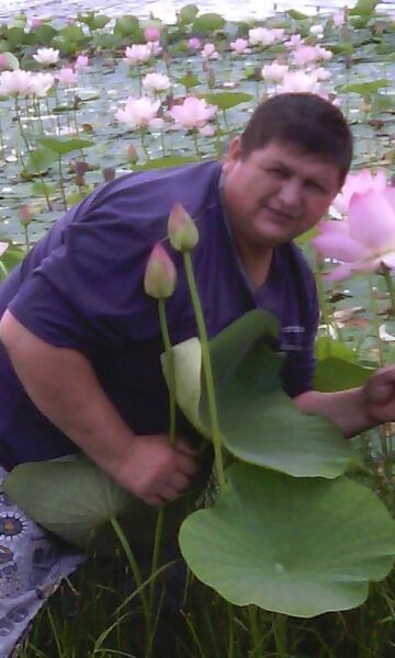  ,   , 56 ,   ,   , 