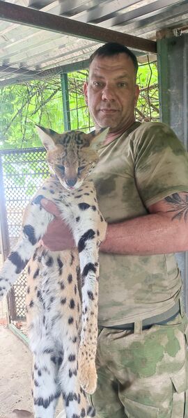  ,   , 43 ,   ,   , c 