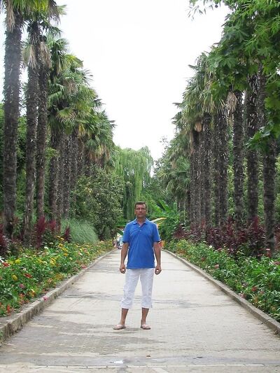  ,   Vlad, 53 ,   ,   , c 
