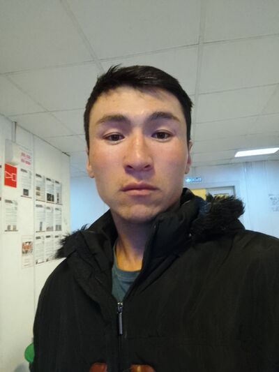 ,     , 33 ,   ,   