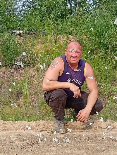   ,   , 51 ,     , c , 