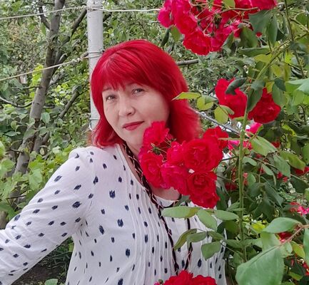  ,   , 49 ,     , c 