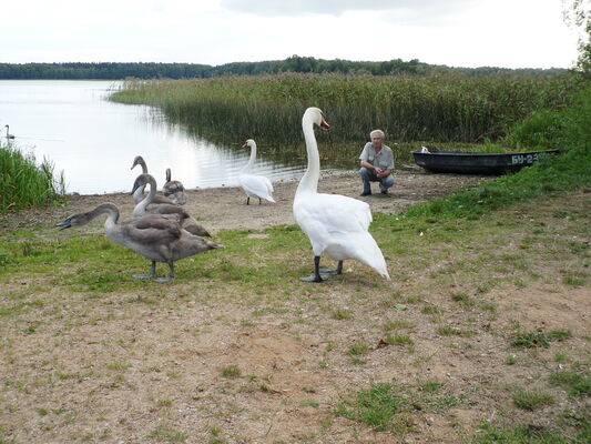  ,   Petr, 74 ,     , c 