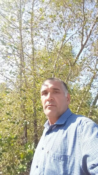  ,   , 55 ,  