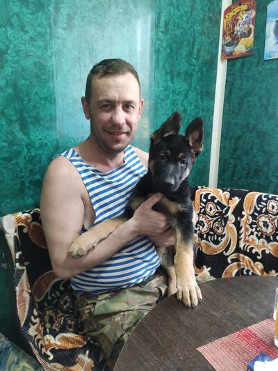  ,   Vlad, 42 ,  