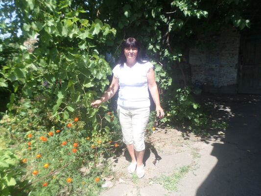  ,   , 62 ,  