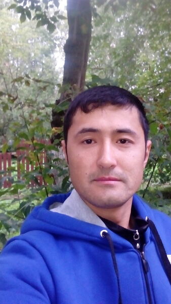  -,   , 33 ,   