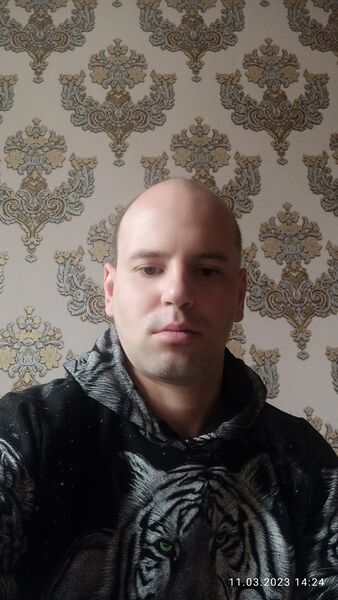  ,   Twerdochkleb, 41 ,   ,   