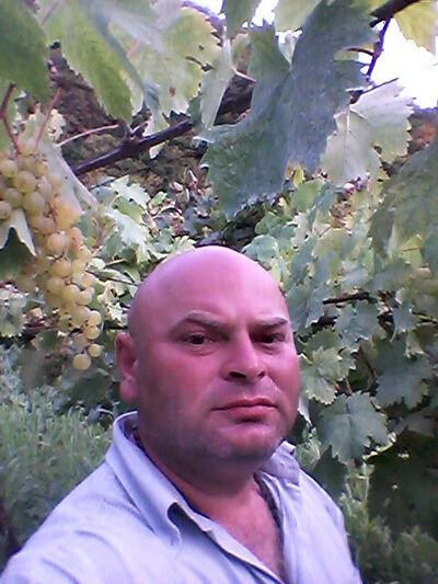  ,   Dato, 48 ,   ,   