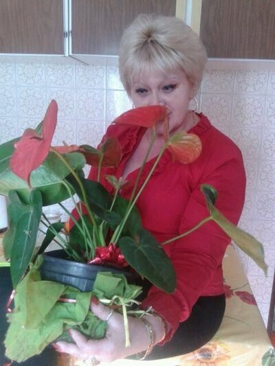  ,   Scarllet, 61 ,     , c 