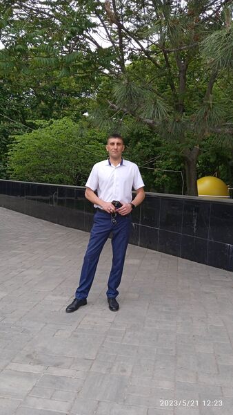  --,   , 43 ,   ,   