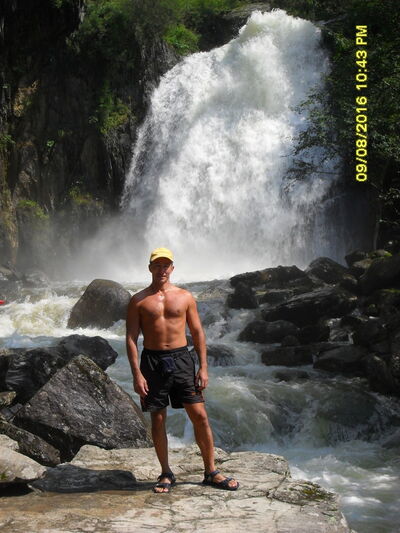  ,   Gartner, 53 ,   