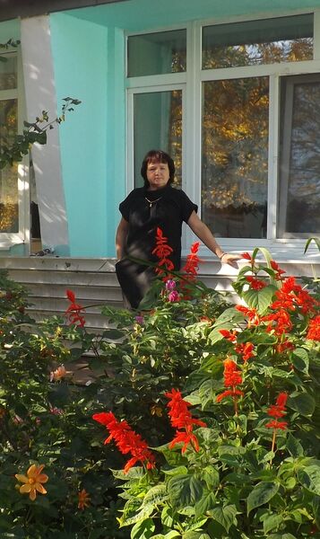  ,   , 59 ,   ,   , c 