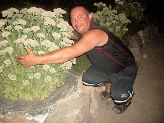   ,   DIMA, 54 ,   ,   , c 
