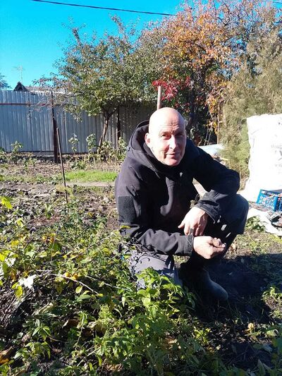  --,   , 50 ,   ,   , c , 