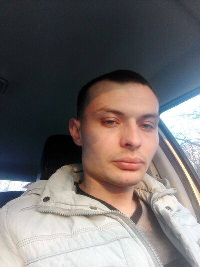  ,   Zver, 31 ,   ,   , c 