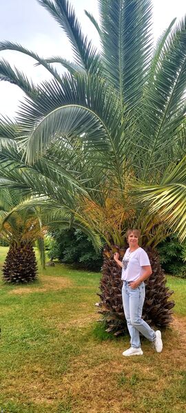  --,   , 46 ,   ,   , c 