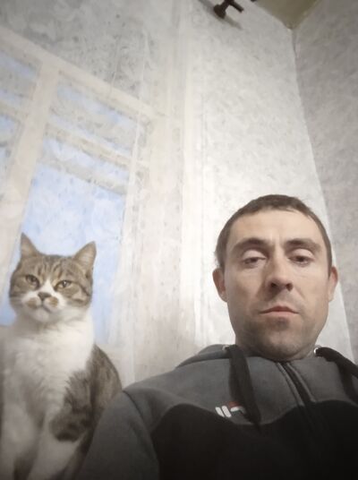  ,   , 38 ,   ,   
