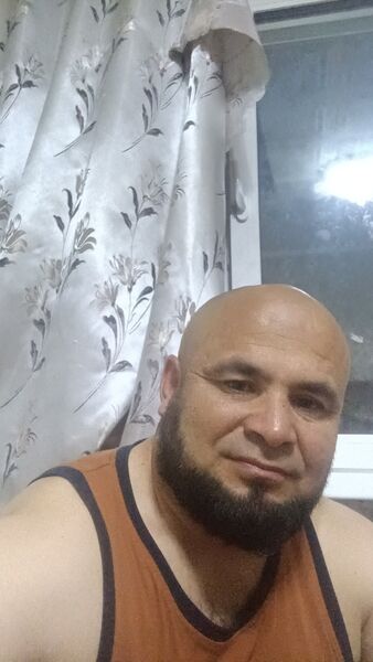  ,       , 41 ,   ,   