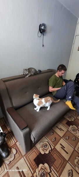  Praha,   Jdjifie, 22 ,   ,   