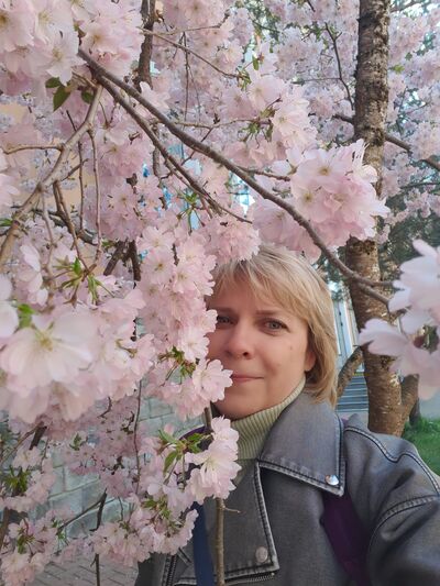  ,   , 55 ,   ,   