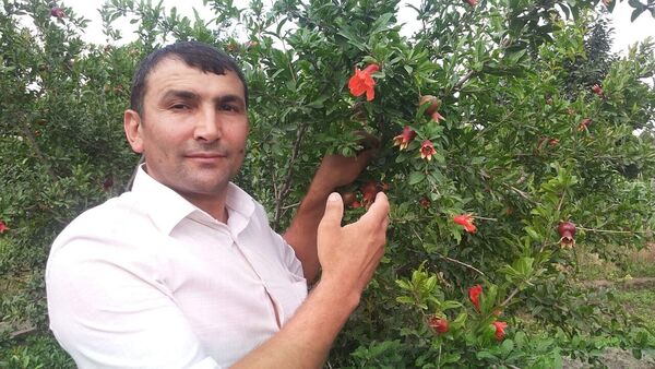  ,   RAFO, 56 ,   