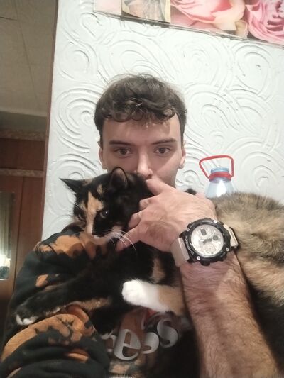  ,   , 29 ,     , c , 