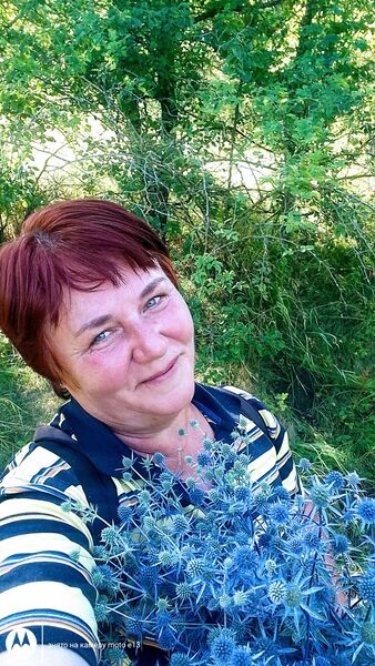  ,   , 53 ,     , c , 