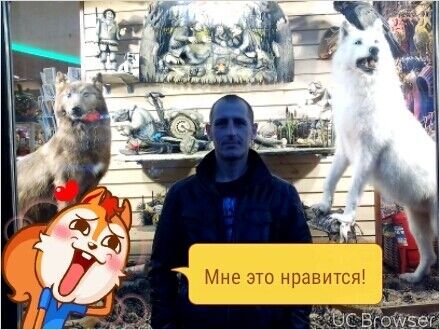  -,   , 43 ,   