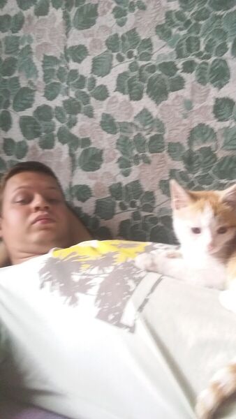  -,   , 29 ,   ,   , c 