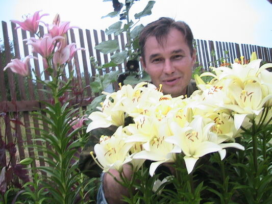  -,   , 55 ,   ,   , c , 