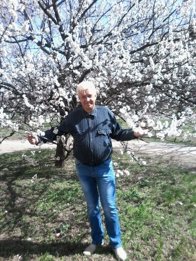  Plattling,   , 56 ,   ,   