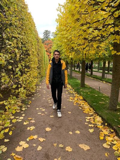 ���������� �����, ���� ������� ���, 28 ���, ������������ ��� ������, ����� � ���������