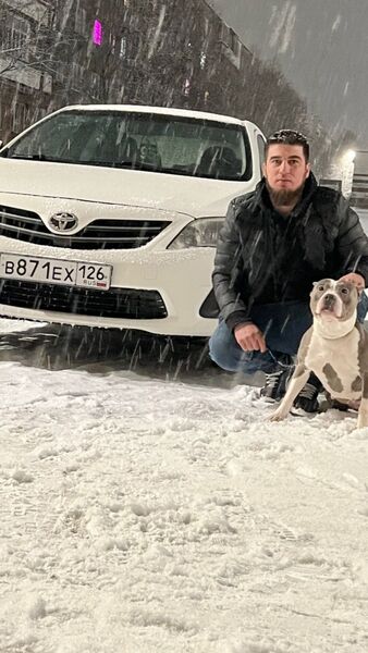  ,   Merzho, 30 ,   ,   , 