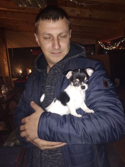  ,   Vasil, 41 ,   ,   , c 