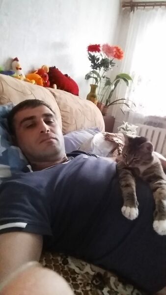  ,   , 37 ,  