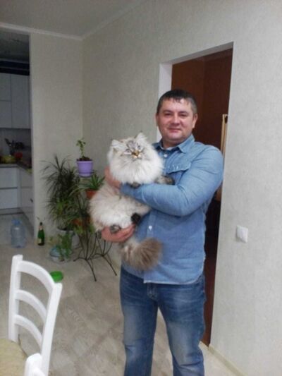  ,   , 46 ,   ,   , c 